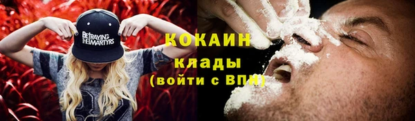 трава Осинники