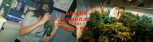 PSILOCYBIN Армянск