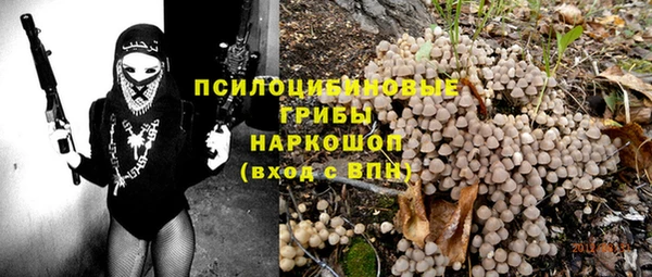 PSILOCYBIN Армянск