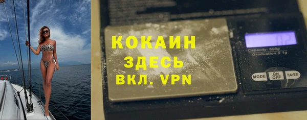 стафф Арсеньев