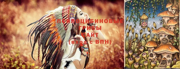 PSILOCYBIN Армянск