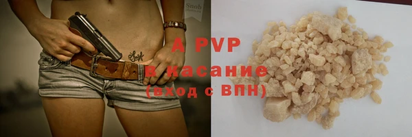 стафф Арсеньев